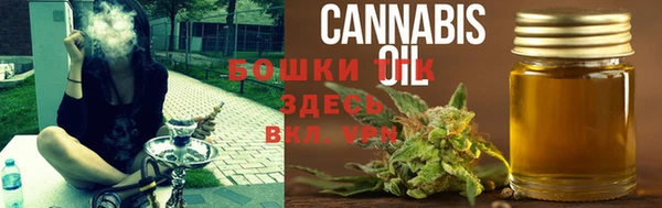 прущие крисы Медногорск