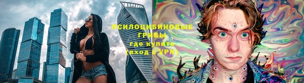 PSILOCYBIN Абинск