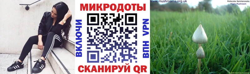 Галлюциногенные грибы ЛСД  Череповец 